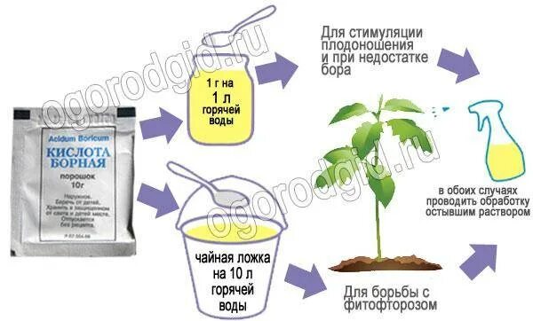 Борная кислота развести водой. Обработка томатов борной кислотой. Борная кислота для растений раствор. Раствор для томатов с борной кислотой и йодом. Подкормка томатов борной кислотой.