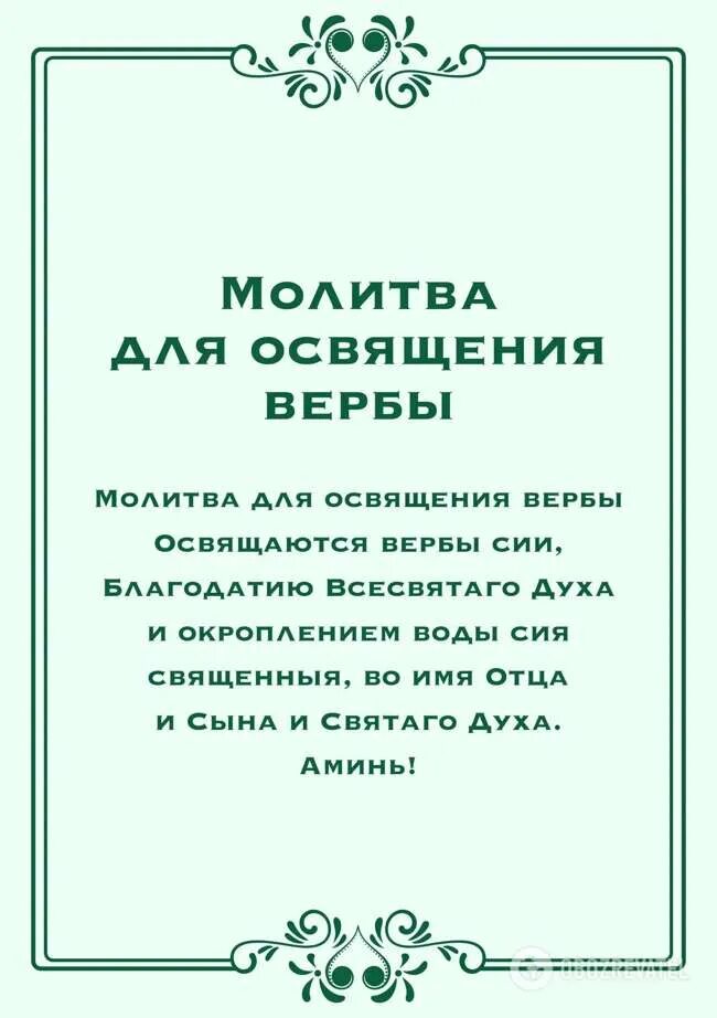 Как молиться в воскресенье. Молитва на вербное воскресенье. молитва на вербу. молитва на веробное воскресение. молитва на освящение вербы дома.