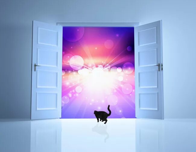 Открытые двери рф. Дверь в будущее. Открытая дверь в будущее. Дверь в красивое будущее. Дверь в будущее рисунок.