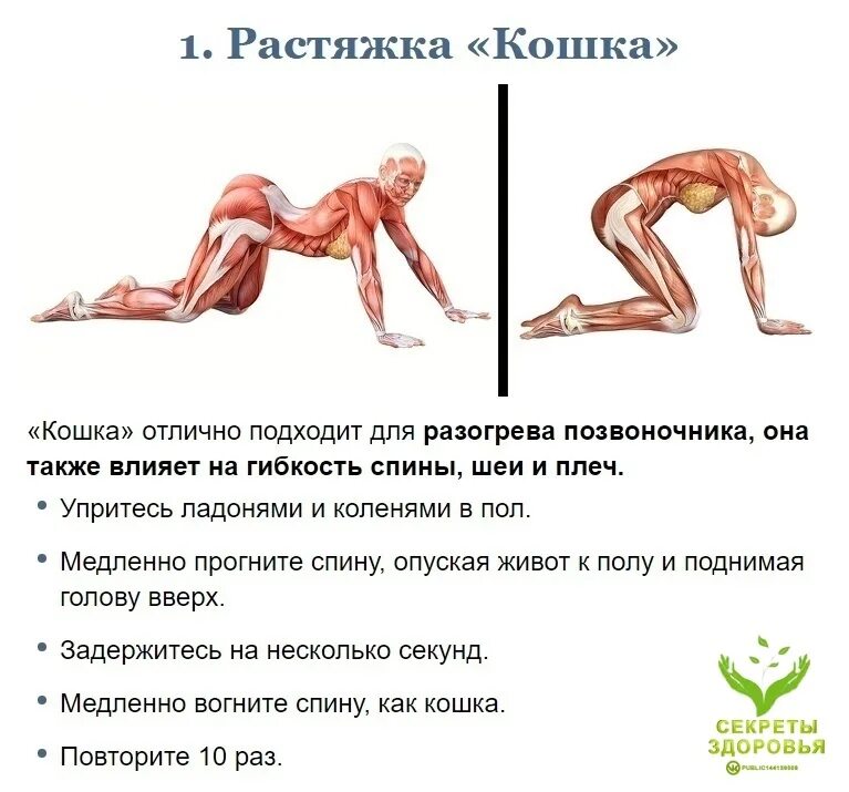 Гибкость цитаты. Упражнения на растягивание мышц. тренировка на растяжку и гибкость. комплекс упражнений на гибкость и растяжку. занятие на растяжку всех мышц.