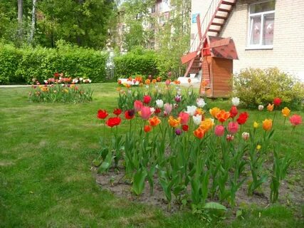 Королев сад