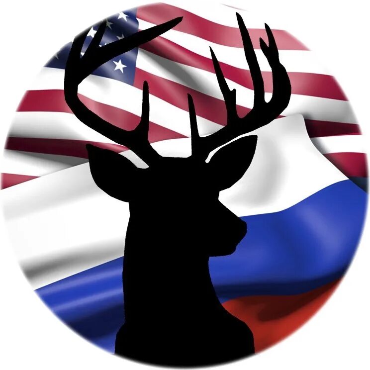 Олени в сша 2024. Олени в сша 2024. Беловежская пуща польша. Вапити самка белая. Олени в сша 2024.