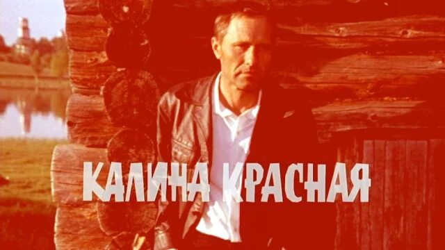 Шукшин в. "Калина красная". Калина красная Постер.