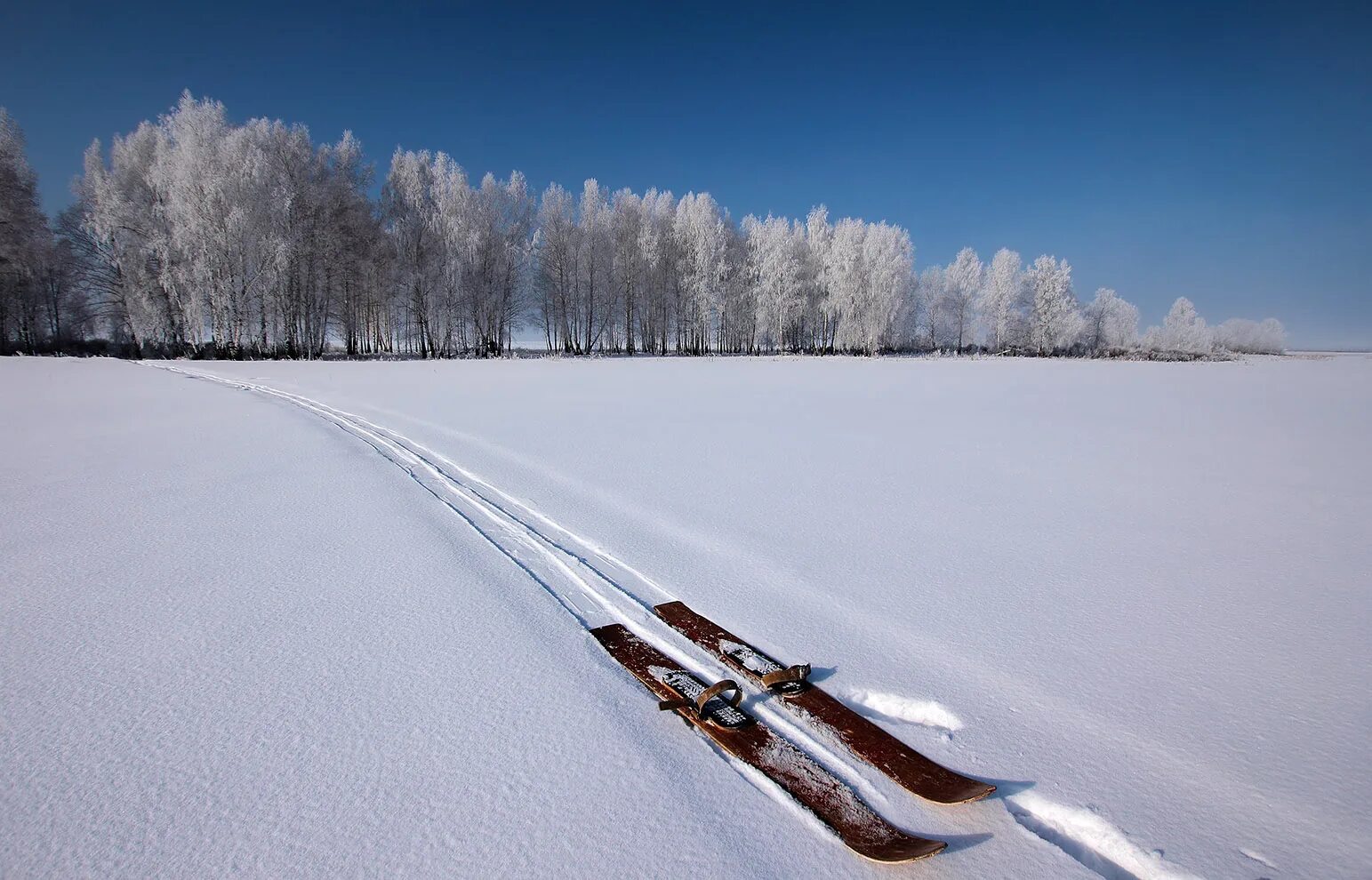 Лыжи зимой. Зимний лес Лыжня. Лыжи в снегу. Зима снег лыжи.