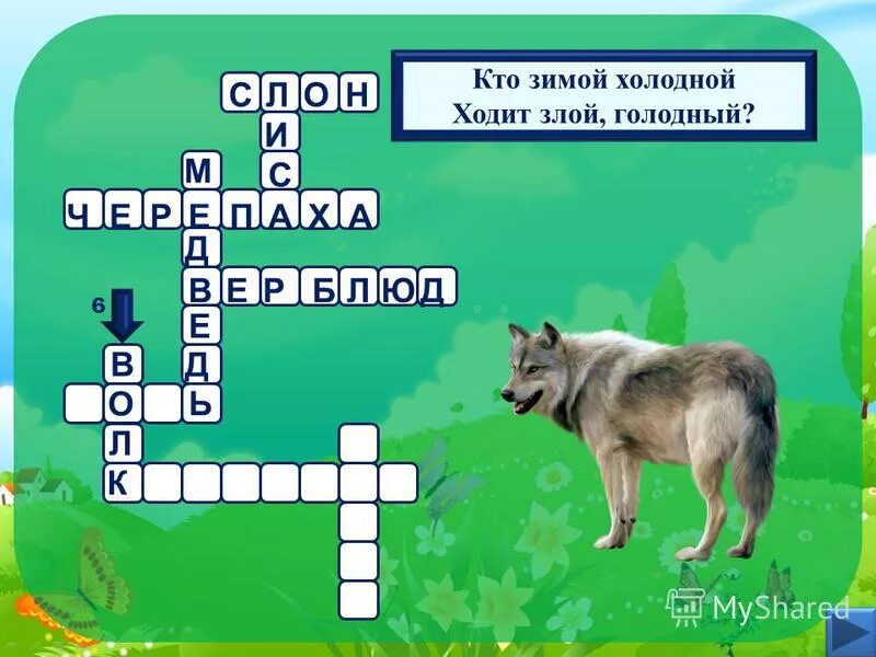 Вопросы волку. Кроссворд про животных. вопросы про животных. кроссворд на тему волк. кроссворд про животных с ответами.