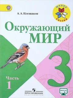 Общество окр мир 3 класс видеоурок
