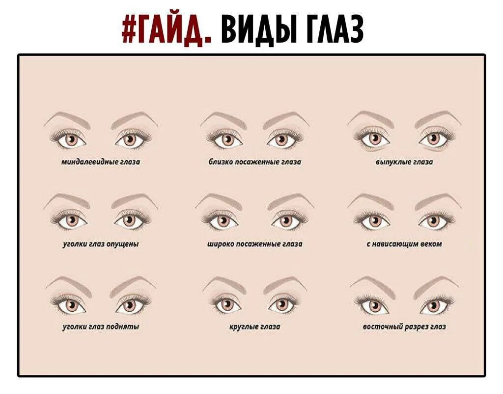 Значение формы глаз. Формы глаз. типы разреза глаз. типы глаз человека. формы глаз человека.