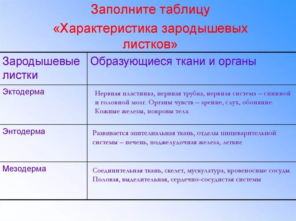 Какой зародышевый листок формируется на стадии. Характеристика зародышевых листков таблица. Развитие зародышевых листков таблица. Зародышевый листок и органы таблица. Производные зародышевых листков таблица.