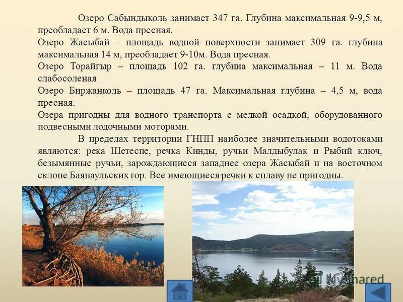 Особенности рельефа страны нигерия. Страны центральной азии рельеф. Преобладающие глубины тихого океана. Средняя высота восточно европейской равнины. Характеристика рельефа великобритании.