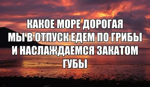 Отпускать еду