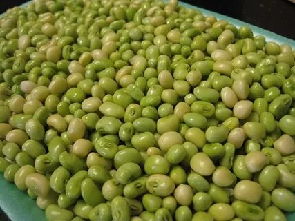 Cream pea