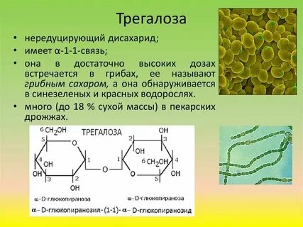 Дезоксирибозный сахар что