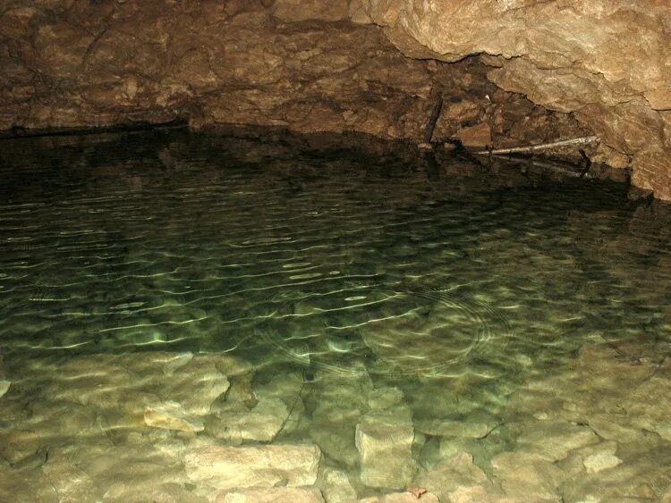 ичалковские пещеры в нижегородской области. ичалковский бор и ичалковские пещеры нижегородская область. ичалковский бор и ичалковские пещеры нижегородская область. пещеры ичалковского бора. пещеры нижегородской.