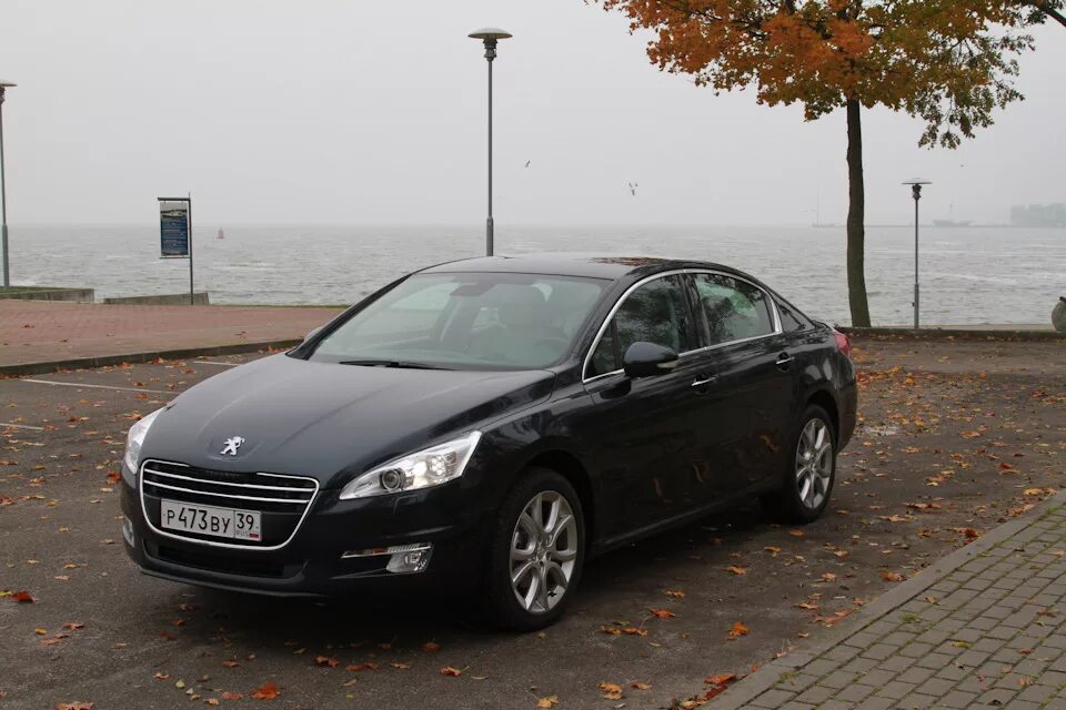Peugeot 508 2012. Пежо 508 бежевый. Новый пежо 508. Peugeot 508 sw gt. Пежо 508 серая.