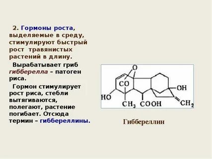 Ели гормон