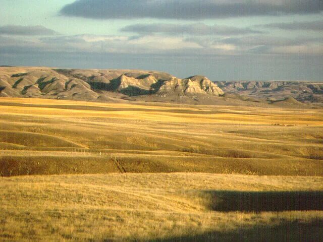 Cold plains