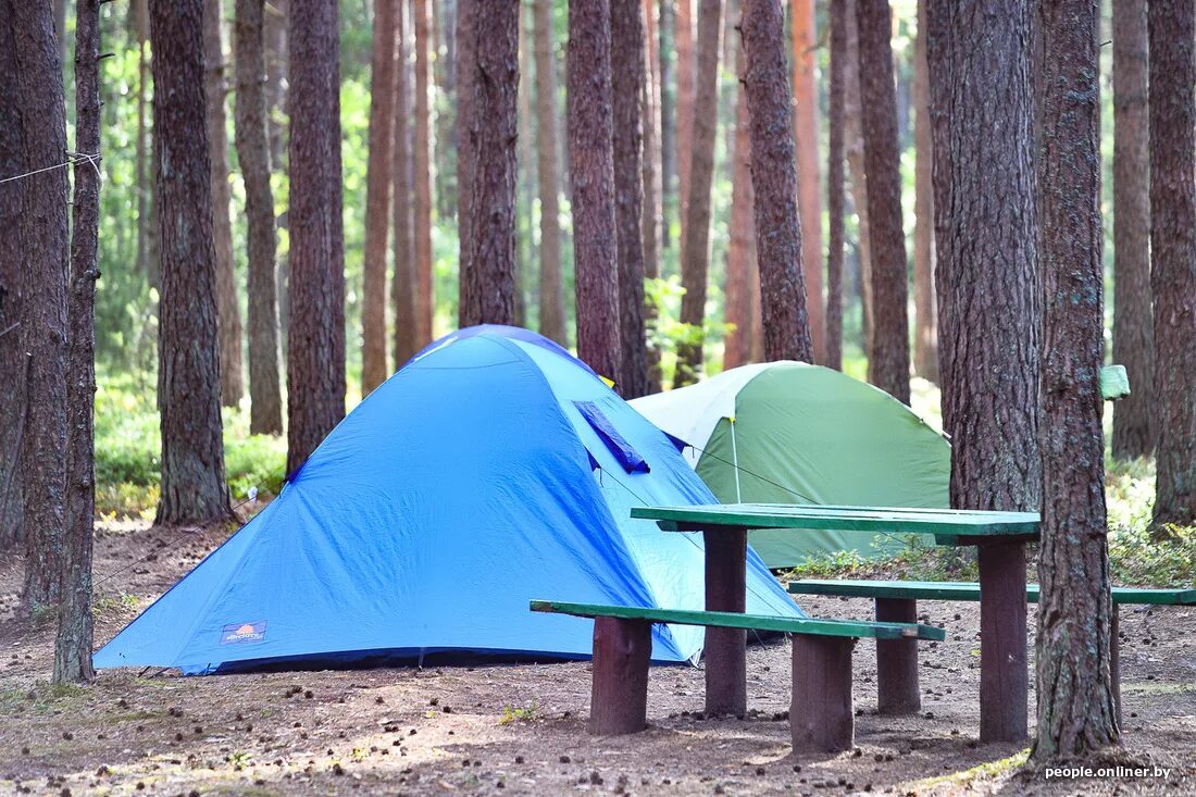 Современный палаточный лагерь. Нарочь кемпинг с палатками. Лагерь Лесное озеро. Нарочь кемпинг коттеджи. Кемпинг обзор