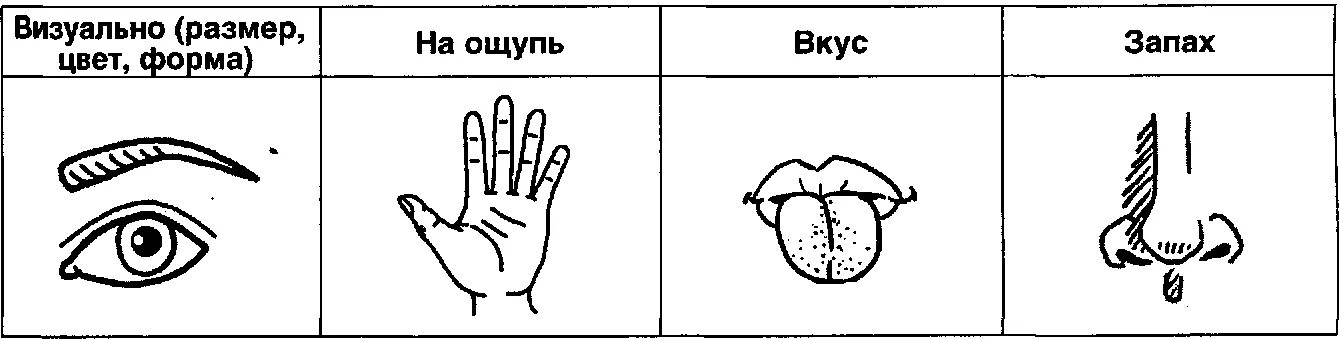 И форму запах и вкус. Составление описательного рассказа по схеме фрукты. Схема описания фрукта для дошкольников. Схема рассказа про фрукты. Схема на ощупь.