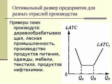 Оптимальное предприятие