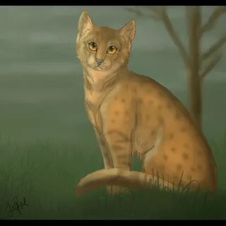Коты воители пятнистый
