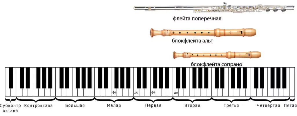 Строй блок флейта Альт. Блокфлейта сопрано Альт. Строй блокфлейты сопрано. Строение блокфлейты.