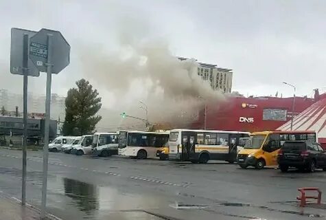 Красный кит мытищи сегодня