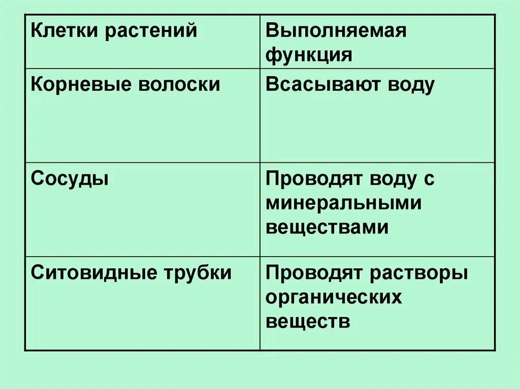 Какую функцию выполняет вода в растении. Таблица передвижение веществ у растений 6 класс по биологии. Биология 6 класс перемещение веществ у растений таблица. Передвижение воды и питательных веществ в растении 6 класс таблица. Передвижение веществ у растений 6 класс.