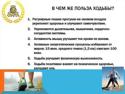 Почему ходьба полезна