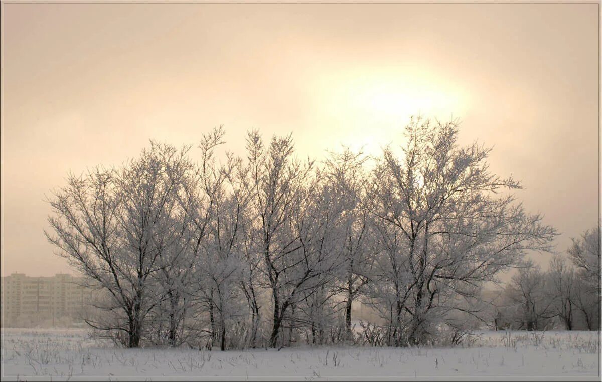 Молодая луна. Зима весна. Туман в поле ночью. Волговерховье фото. Посреди месяца.
