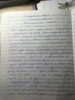 Сочинение бульба 6 класс