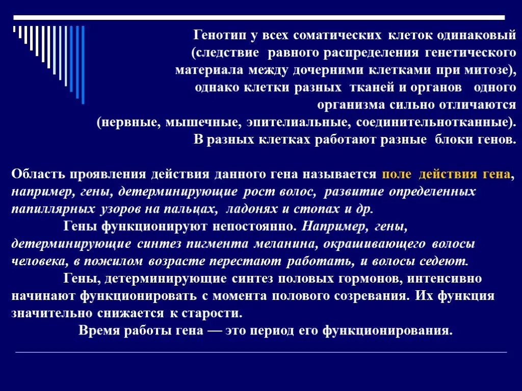 Почему клетки приобретают различную специализацию