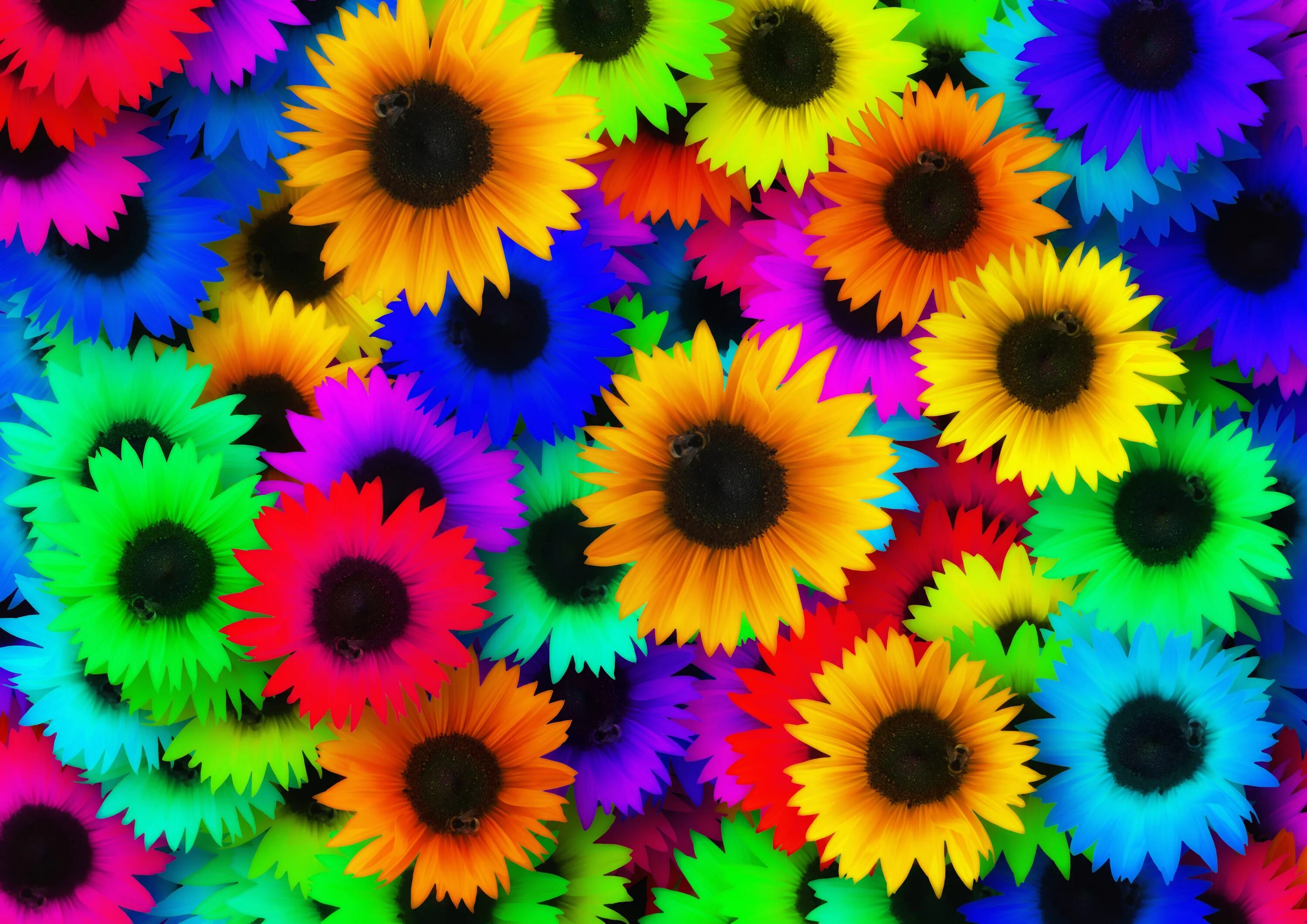 Разноцветные цветы. Цветы мелкие разноцветные. Яркие цвета. Яркие цветочки. Colourful colour