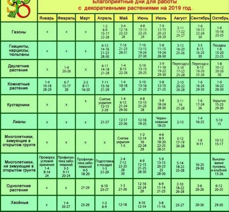Когда можно сажать цветы в апреле