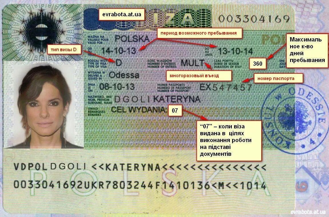 Шенген куда можно. Польская виза шенген. Национальная виза в Польшу. Виза категории d. Рабочая шенгенская виза.