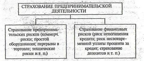 Основное поле деятельности