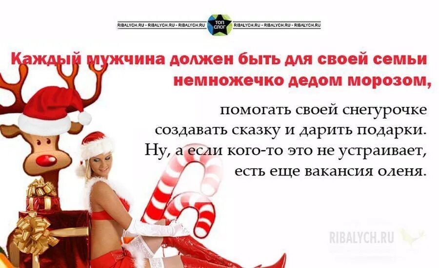 Шутки про деда мороза. Карикатуры новогодние смешные. Анекдоты деда мороза. Анекдоты деда мороза на новый год. Анекдот про дедушку мороза.