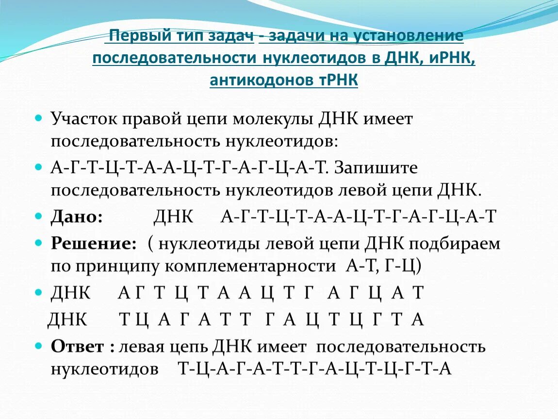 Биология ДНК И РНК задачи. Задачи на комплементарность ДНК И РНК. Как решать задачи по биологии на ДНК И РНК. Как решать задачи с ДНК И РНК цепочками.