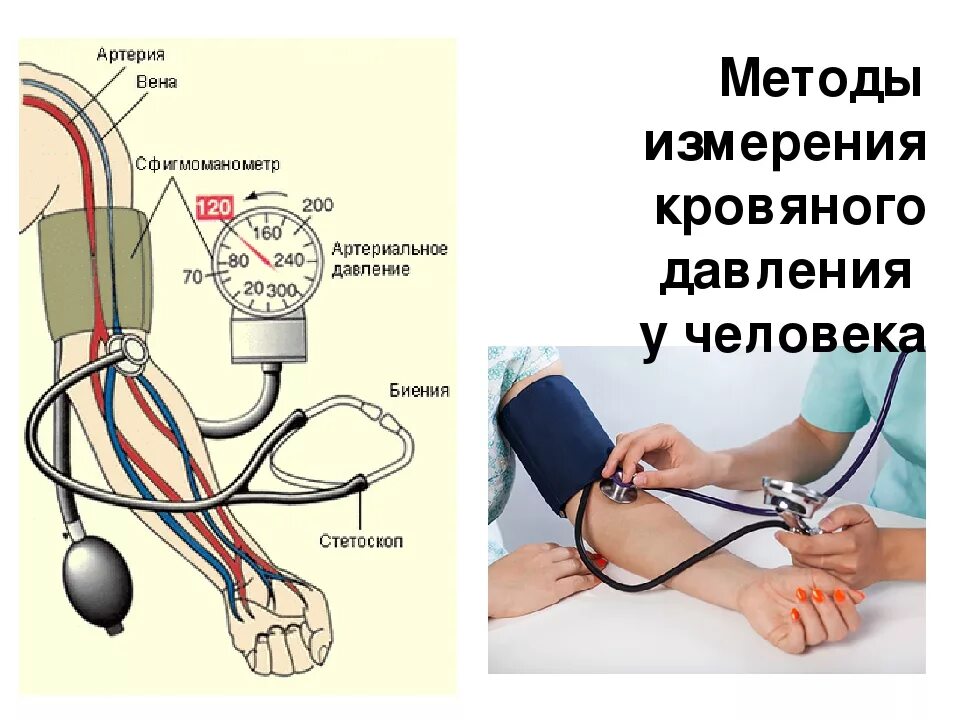 Измерение артериального давления механическим тонометром алгоритм. Алгоритм измерения давления механическим тонометром. Правильное измерение артериальное давление механический прибор. Алгоритм измерения артериального давления тонометром.