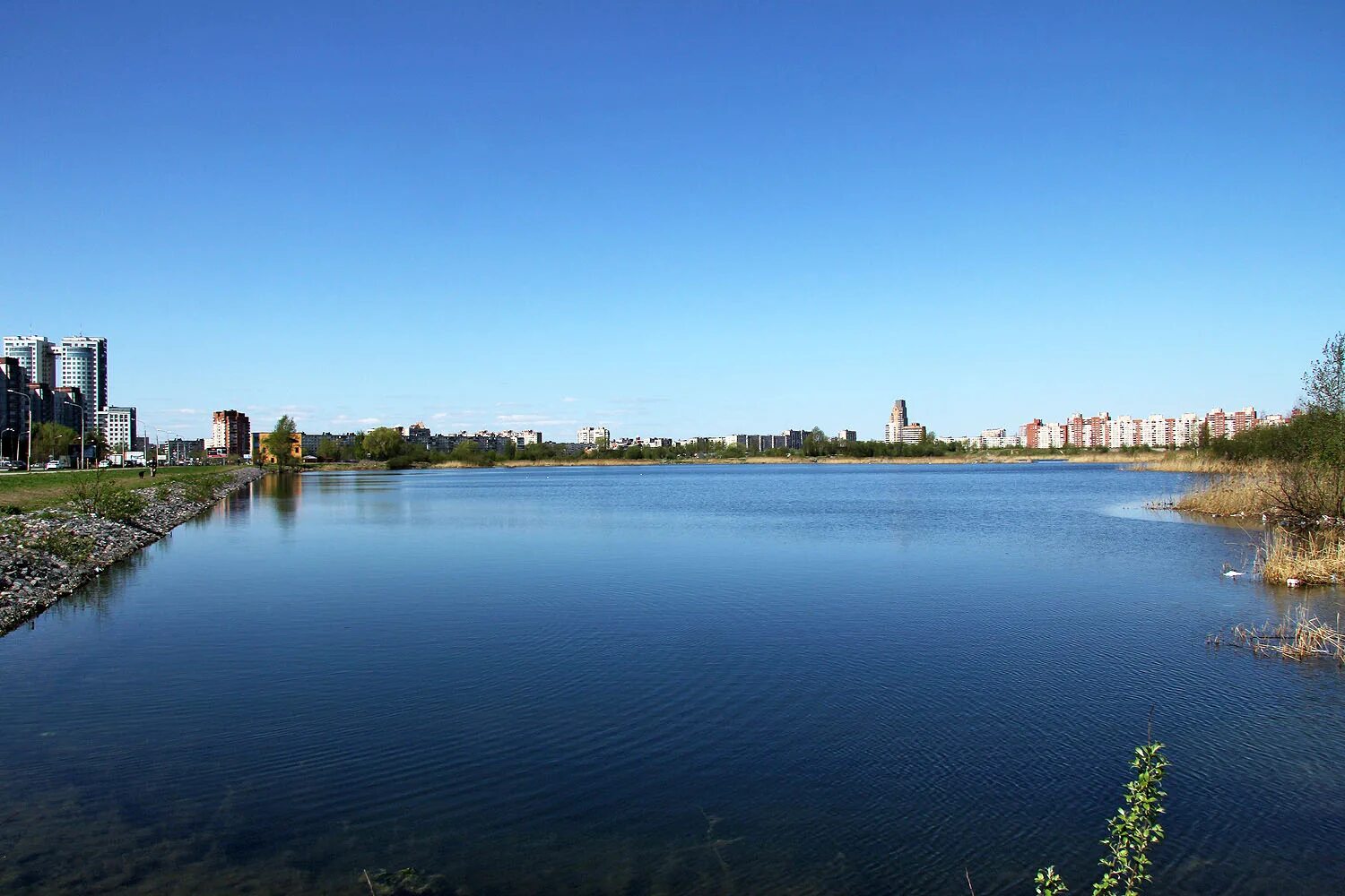 Улица борисовские пруды. Сады сары дюк. Леоновский пруд. Пруд 24. Прудик студенец.