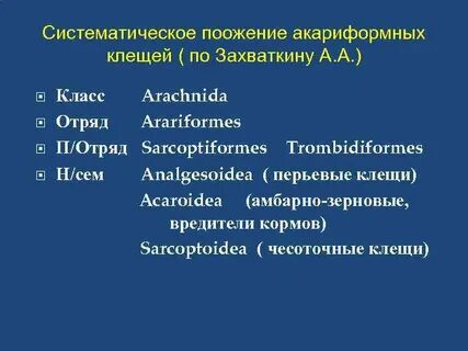 Систематика клещей