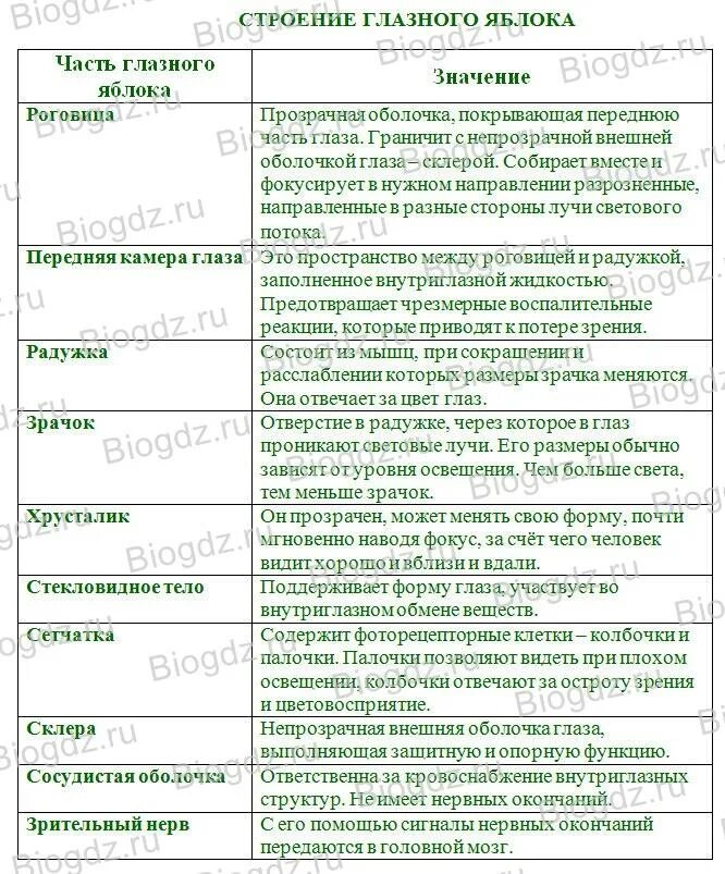 Оболочки глаза человека таблица. Зрительный анализатор строение глаза таблица. Строение глаза таблица структура строение функции. Строение глаза таблица часть глаза строение и функции. Зрительный анализатор строение и функции таблица.