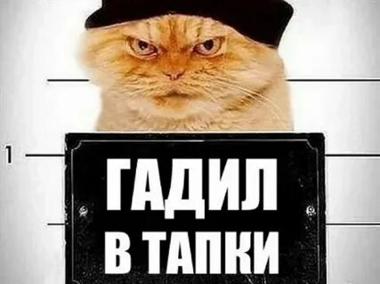 Пипец котенку 2 слушать