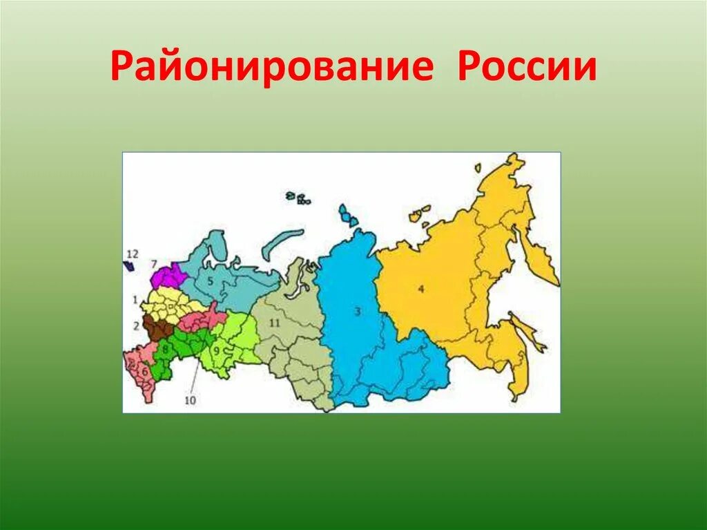 Экономические районы европейской части россии 9. Экономическое районирование России экономические районы. Экономическое районирование России 9 класс география. Экономическое районирование карта. Карта районирования России.