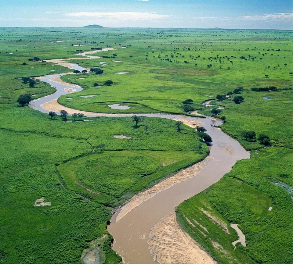 Africa river. Река Конго национальный парк Салонга. Национальный парк Гарамба в Африке. Национальные парки Гарамба и Салонга в Африке. Парк Гарамба в Конго.