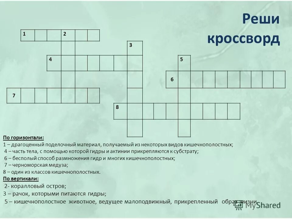 кроссворд по теме тип кишечнополостные. кроссворд биология 7 класс животные. кроссворд на тему тип кишечнополостные. кроссворд кишечнополостные с ответами. кроссворд по бизнесу.