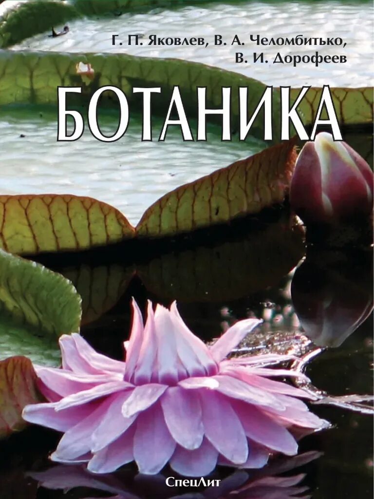 Яковлев г.п Челомбитько в.а ботаника. Яковлев г.п., Челомбитько в.а., Дорофеев в.и.. Челомбитько ботаника учебник. Ботаника учебник для вузов Яковлев Челомбитько.