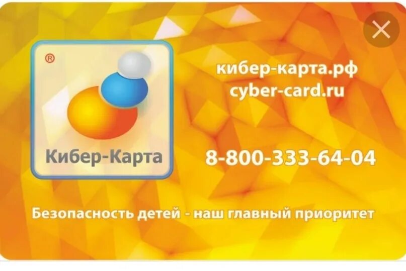 Кибер карта. Кибер карта школьная. Кибер карта школьника. Чехол для карты школьника. Кибер карта школьника.