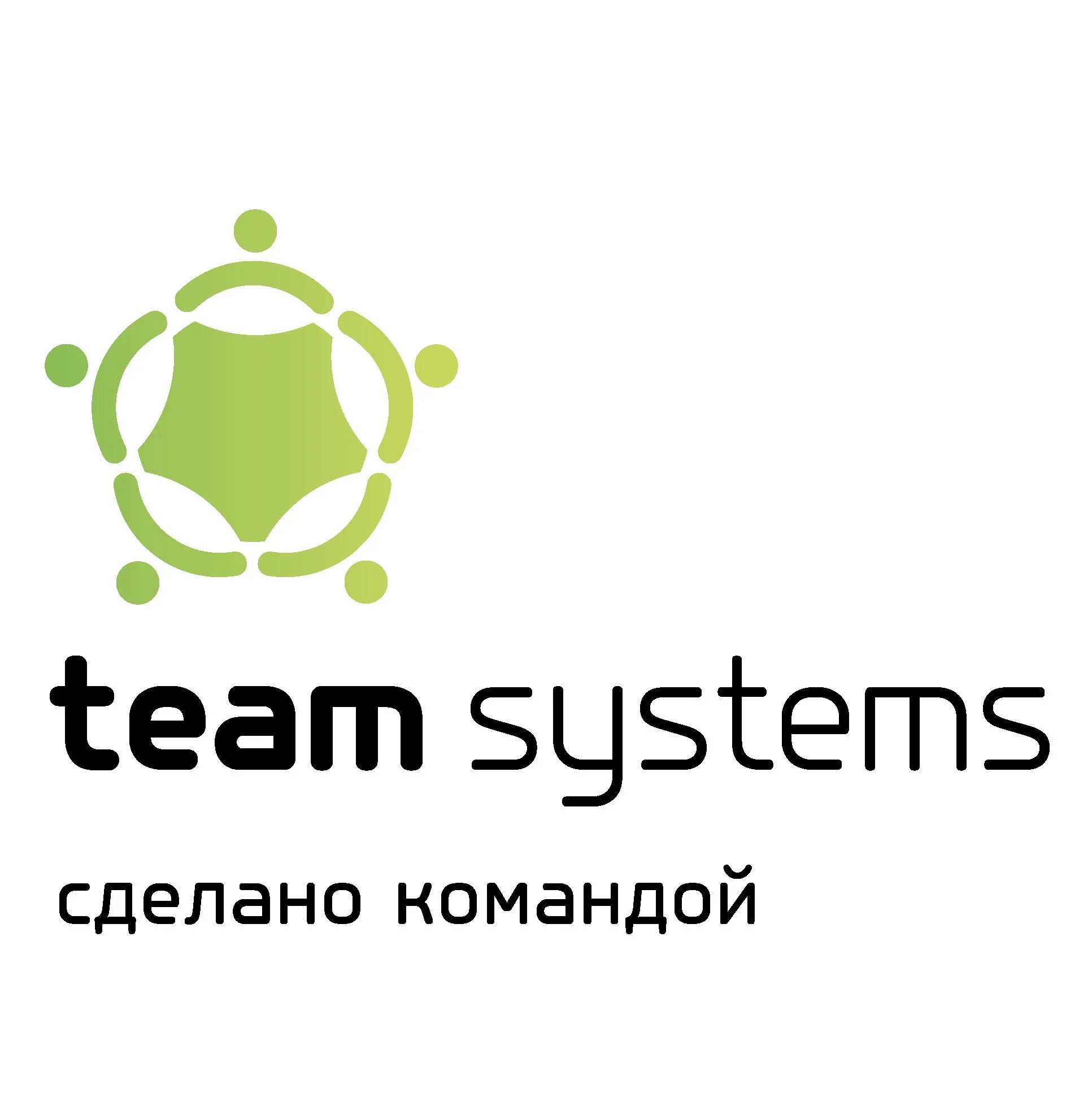 System Team. Что такое тим предприятия. Тим Системс печи. Фирма Team Stoune. Юнирентер москва