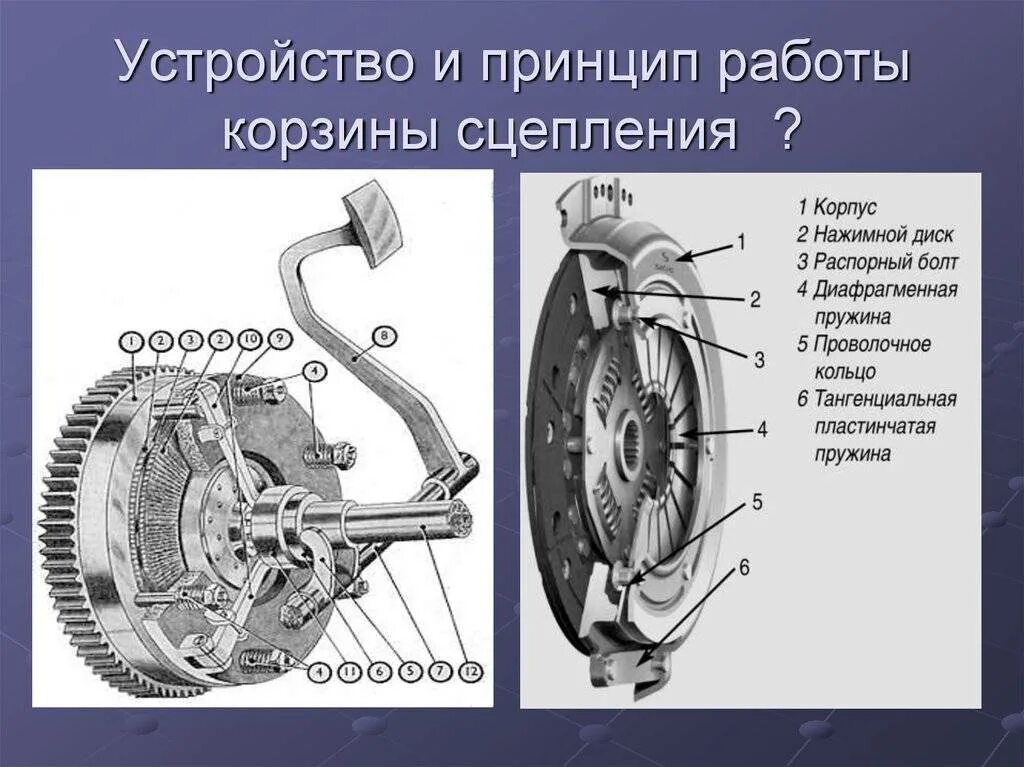 Как проверить сцепление на механике. Сцепление схема и принцип работы. Сцепление устройство и принцип работы. Принцип работы сцепления. Схема действия сцепления автомобиля.