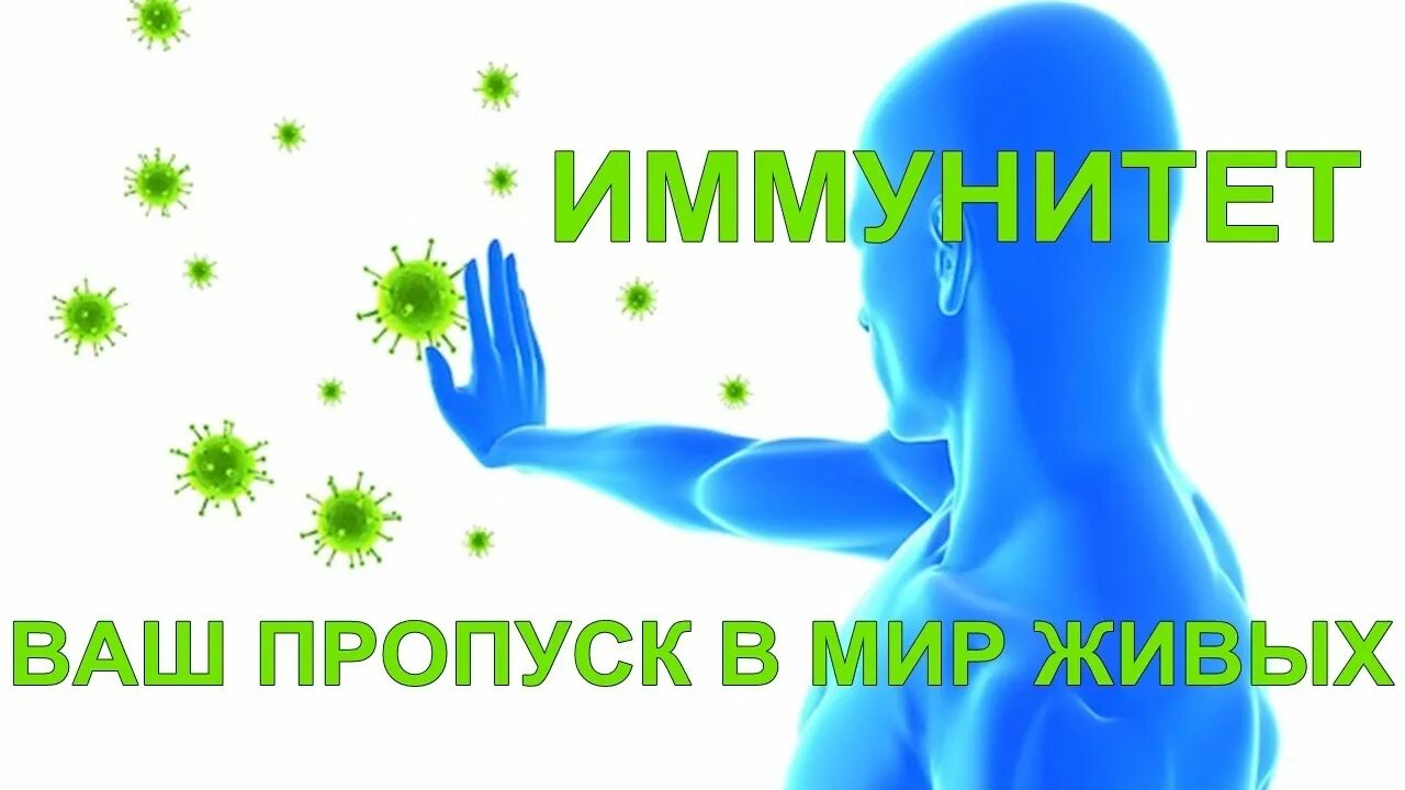 Artificial immune system. Artificial immune system